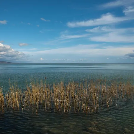 Pearl * Balatonboglar